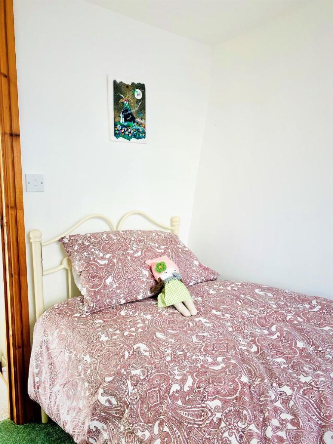 Higher Primrose Cottage Winkleigh Extérieur photo