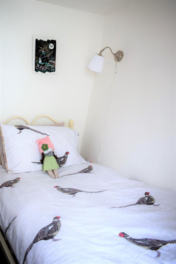 Higher Primrose Cottage Winkleigh Extérieur photo