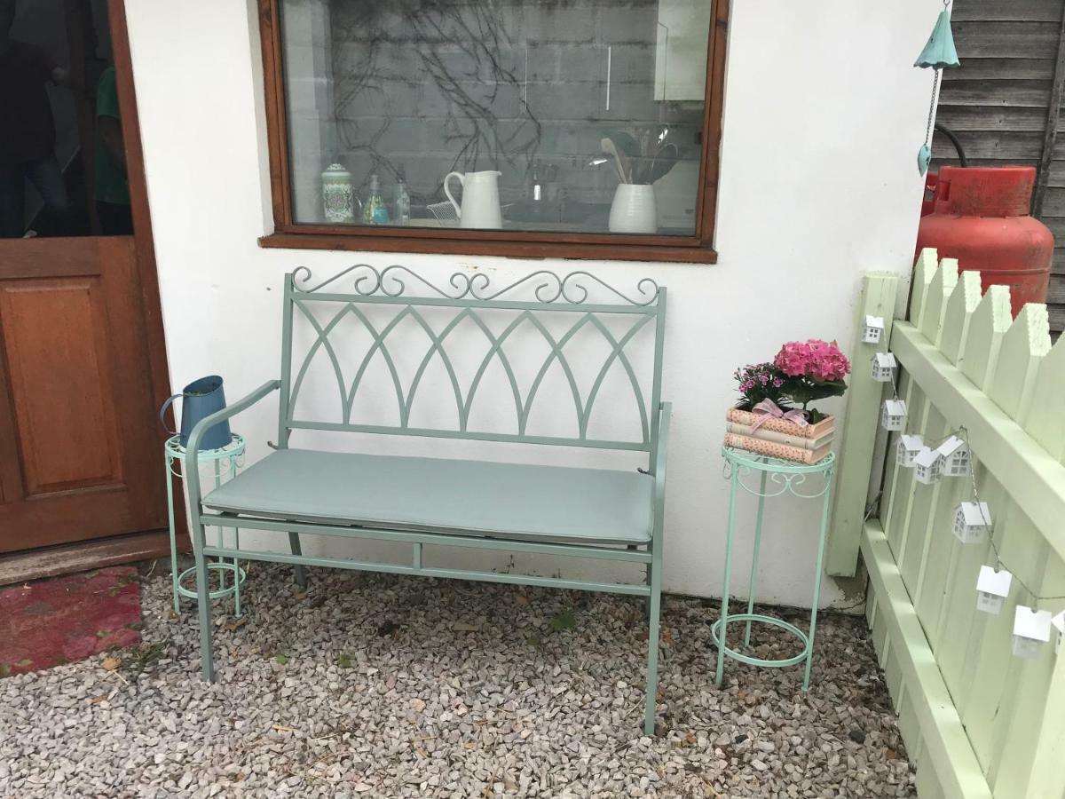 Higher Primrose Cottage Winkleigh Extérieur photo